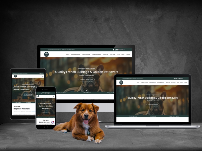 A Premium Pet Breeding Website for Regents Kennels