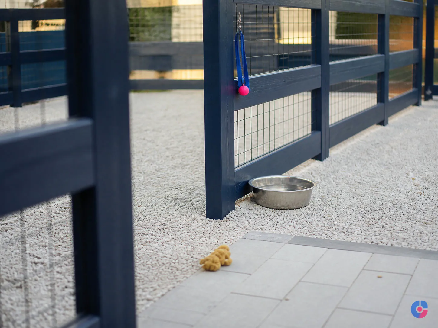 Clean outdoor exercise area at a breeding facility showing well maintained fencing